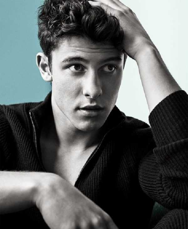 Shawn Mendes Net Worth and Bio: All You Need to Know